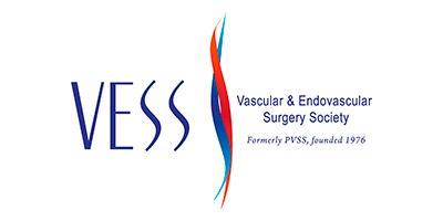 Vascular and Endovascular Surgery Society